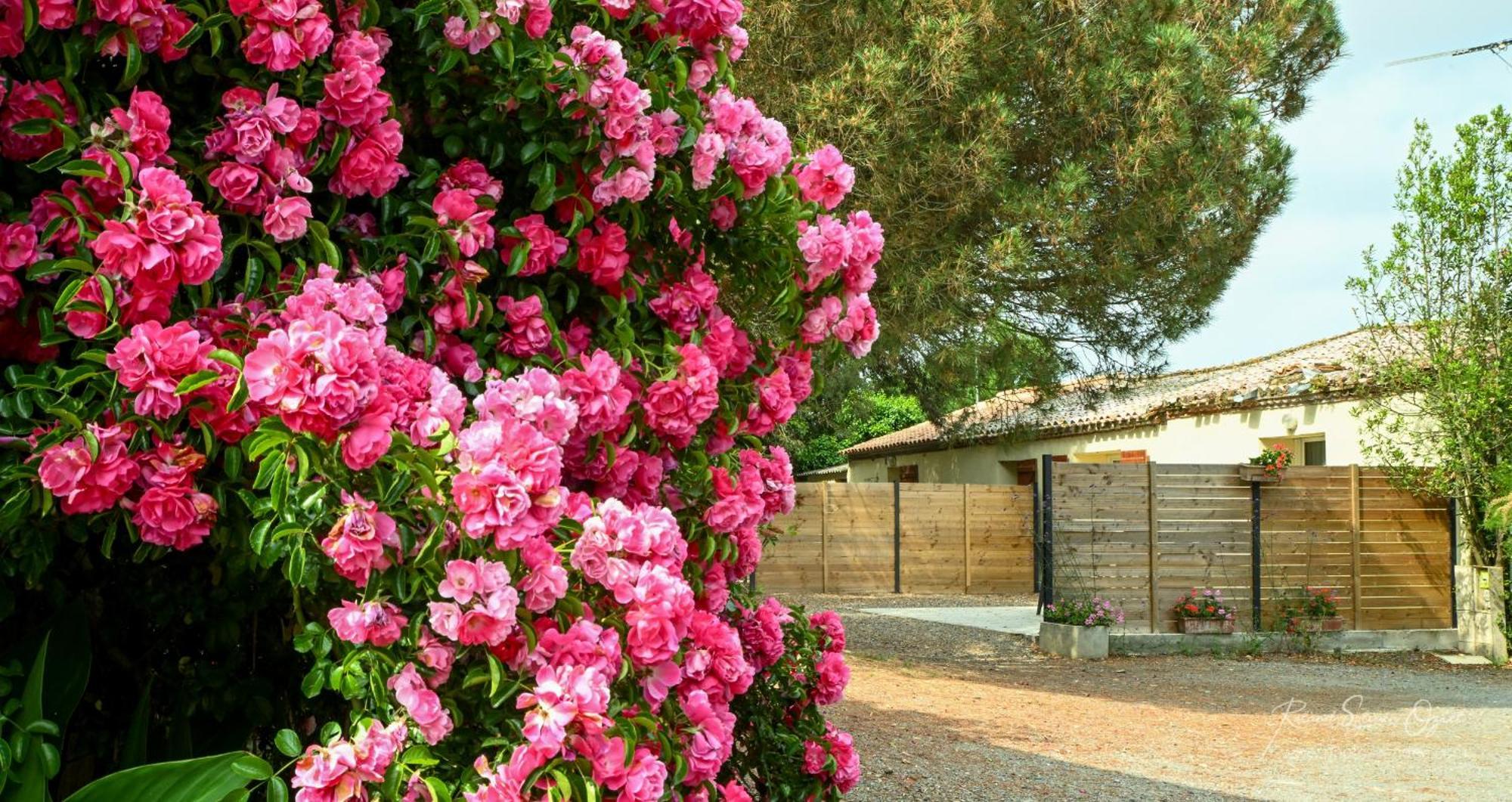 Domaine Les Rousselieres Villa Olonne-sur-Mer Luaran gambar